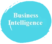 Mabeo, Business Intelligence